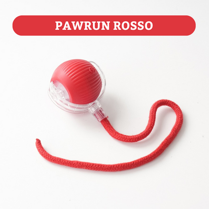 Palla veloce PAWRUN